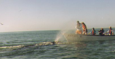 A whale spraying the other boat!